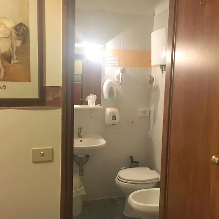 酒店 欧罗巴酒店 3*